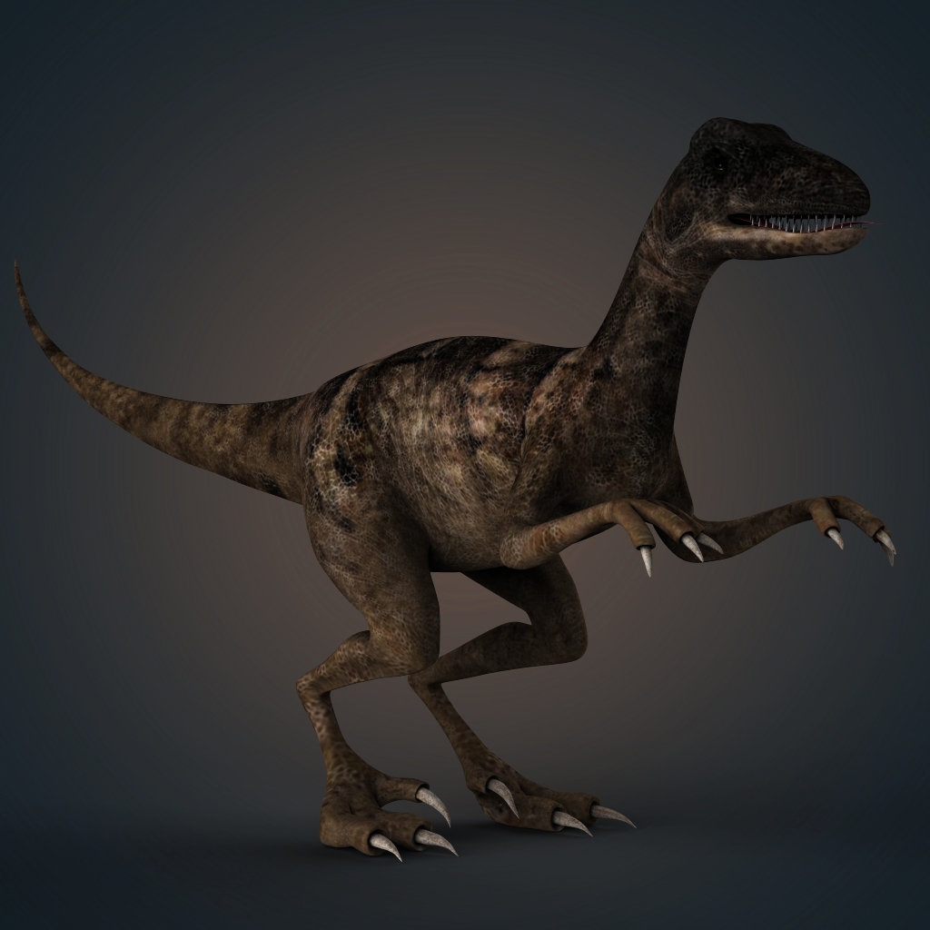 velocious raptor